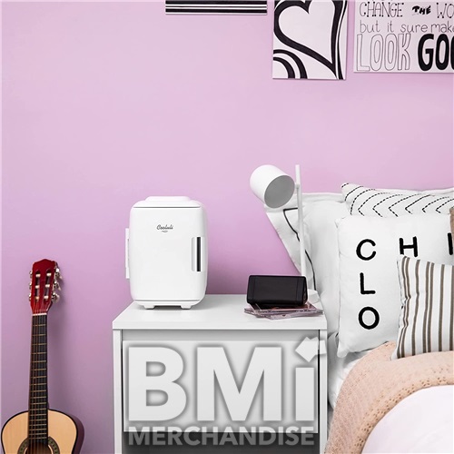 MINI PORTABLE FRIDGE