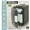 MINI PORTABLE FRIDGE