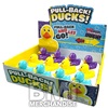 PULL BACK DUCKS ASST